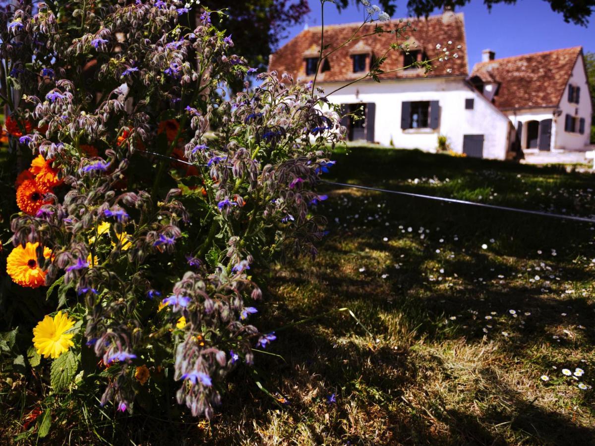 La Guirtelle Bed and Breakfast Lainsecq Eksteriør billede